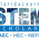 Stem logo