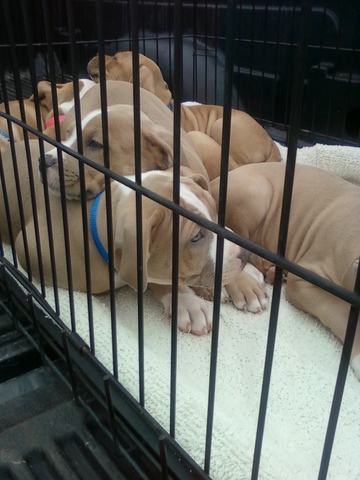 King with his siblings