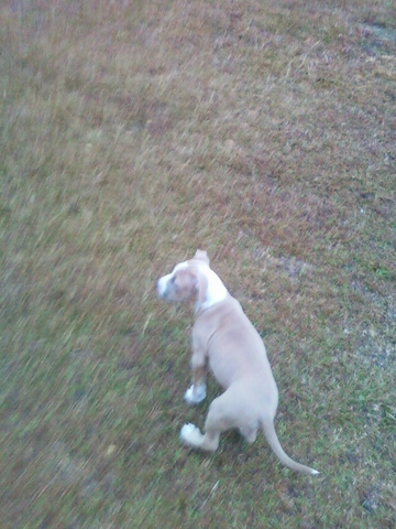 King exploring the outside world