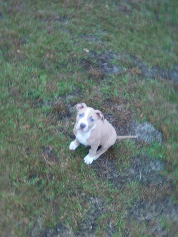 King taking a summer walk