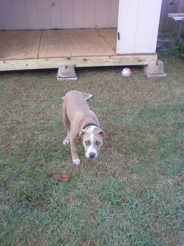 King enjoying his new space