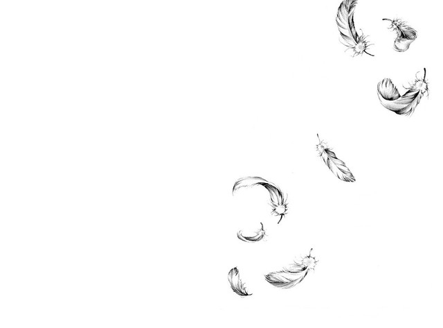 The Dream and the Feather