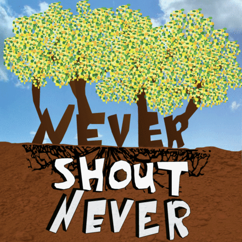 NEVERSHOUTNEVER!