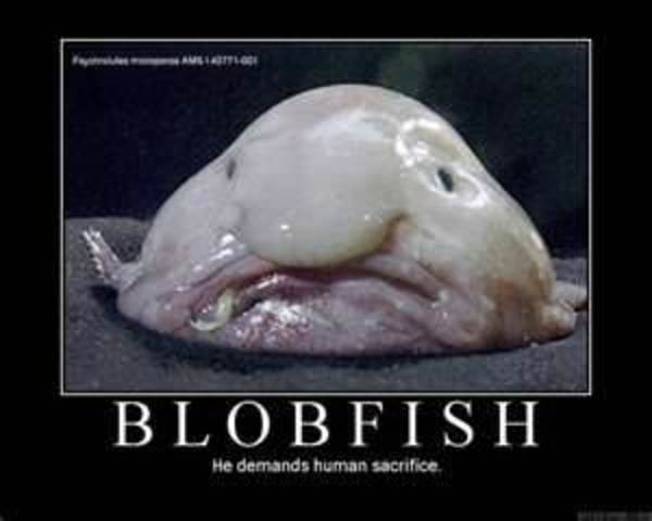 Austro-hungrain's demands