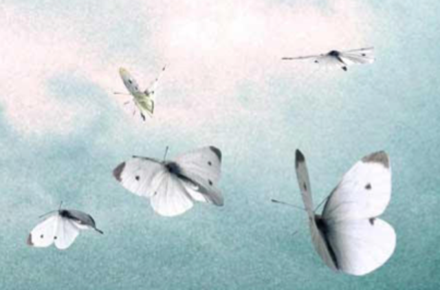 Frost's first poem is published - "My Butterfly. An Elegy"