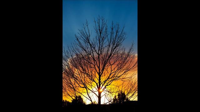High Park Fire, 1:29 p.m. - Fire officials lift all pre-evacuation notices in the High Park Fire area.