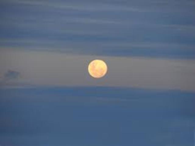 Creación de la Bandera