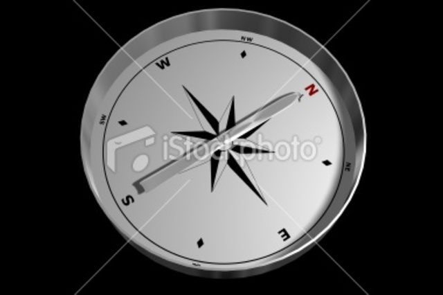 African Americans' Role