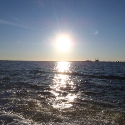 Timeline: The New Year