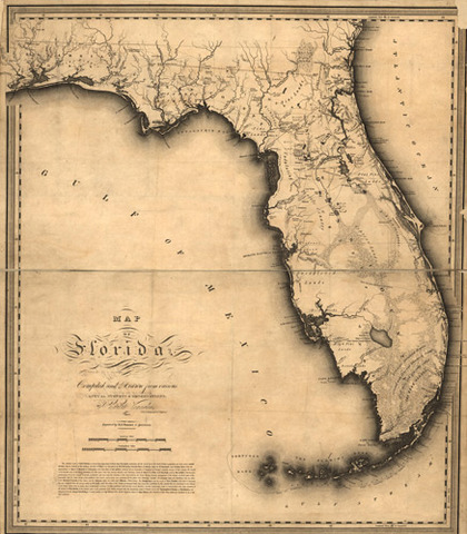 Adams-Onis Treaty; the Purchase of Florida (VUS.6b)