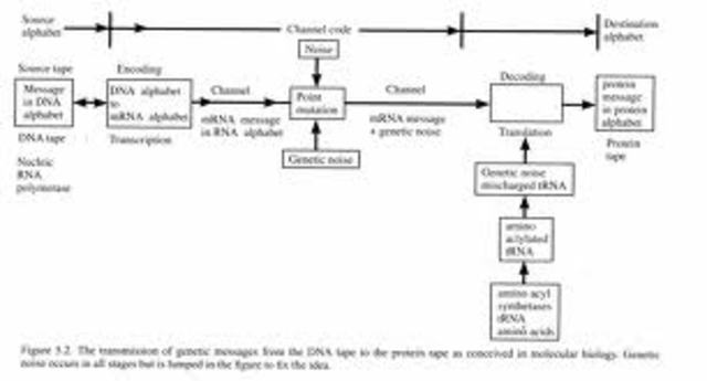 Mathematical Theory of Communication