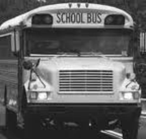 Detroit Busing Plan