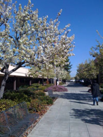 Moved to San Diego, CA  to work as Language Arts Coordinator