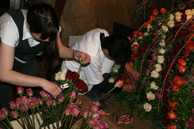 Les Journées de la rose à Doué-la-Fontaine