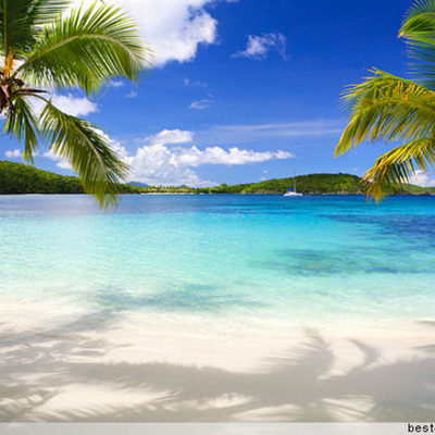 Timeline: Enjoy life