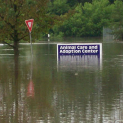 Timeline: Progres of Iowa City Animal Shelter