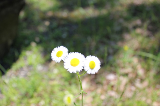 Life is bright and coloful