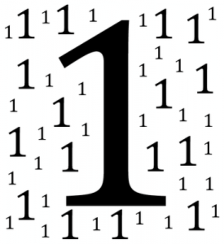 1er recurso de amparo (contra el programa)