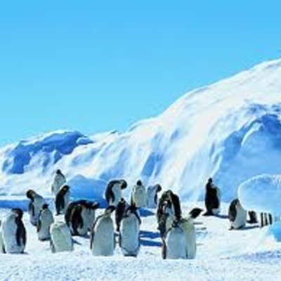 Timeline: Antarctic Exploration