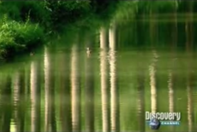Agua como problema en Paris