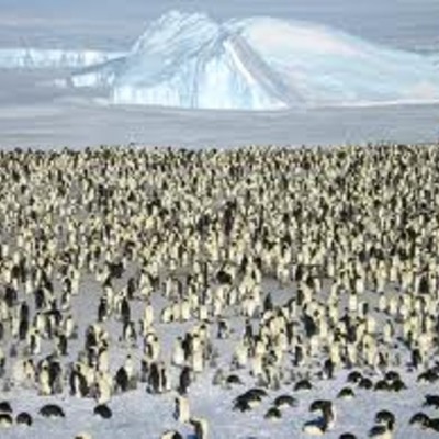 Timeline: Antarctic exploration