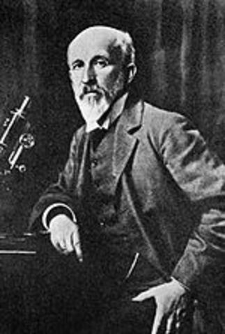 Who discovered Meiosis?