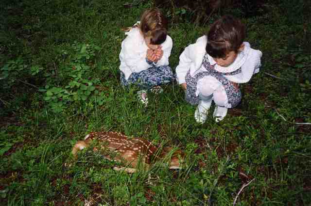 Christian Valley, BC