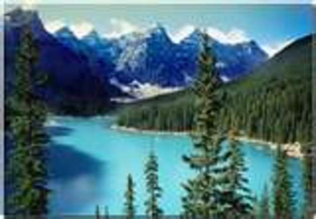 Move To Alberta, Canada