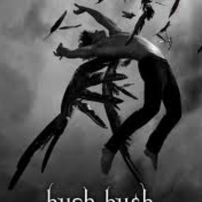 Timeline: Hush Hush