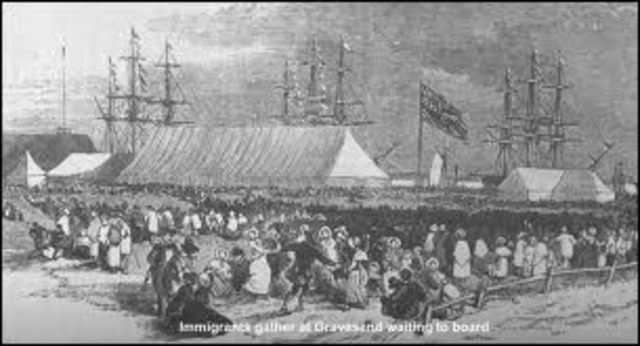 Polynesians colonise New Zealand