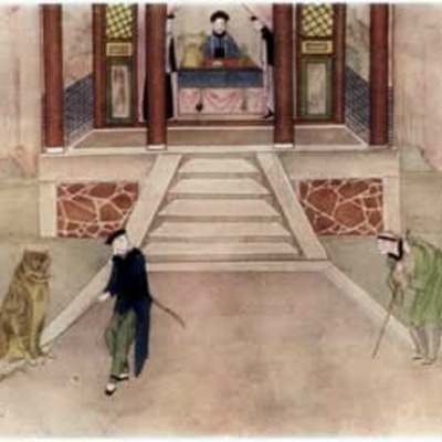 Timeline: The Nodding Tiger