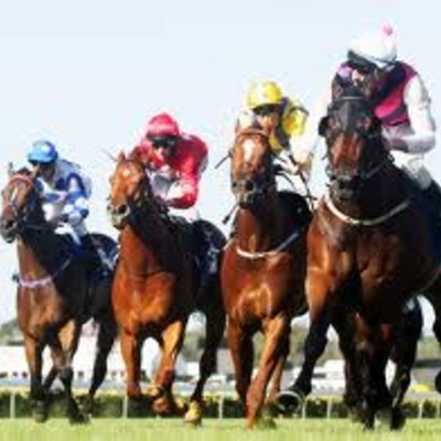 Timeline: melbourn cup hourse races