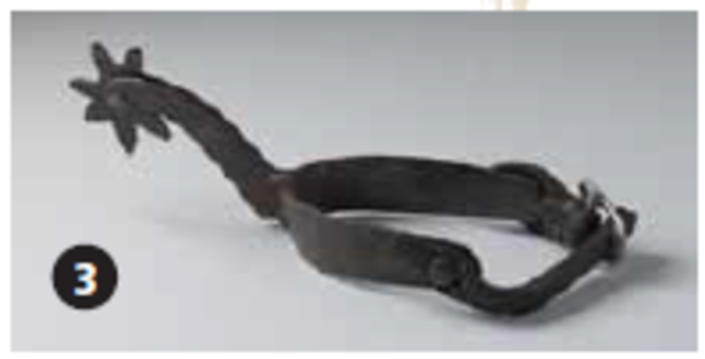 Sabu Sing and land campaign