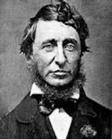 DAVID THOREAU