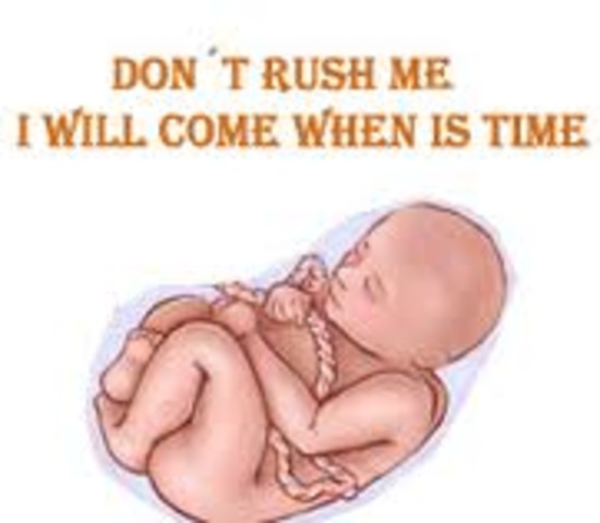 Third Trimester (29 weeks to birth)