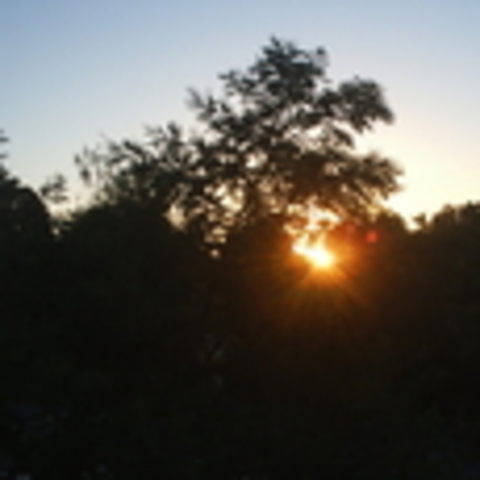 Miguel Angel Asturias, Publica su Obra Viento Fuerte.