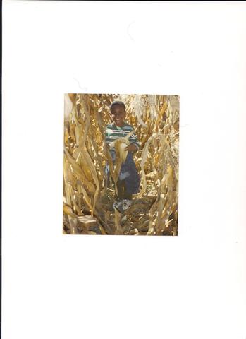 Terrance Jerome Walls II