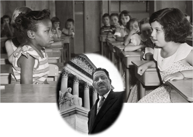 Brown v Board of Education (VUS.14a)