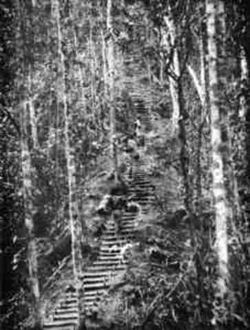 Maroubra Force to defend airfield