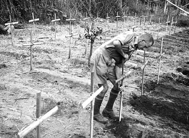 The campaign in Papua was won by American and Austrlian soldiers