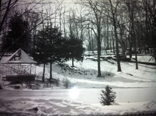 The last surviving Winter dies, donates land to twp