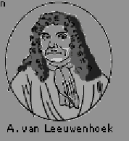 2nd Scientific Microscope