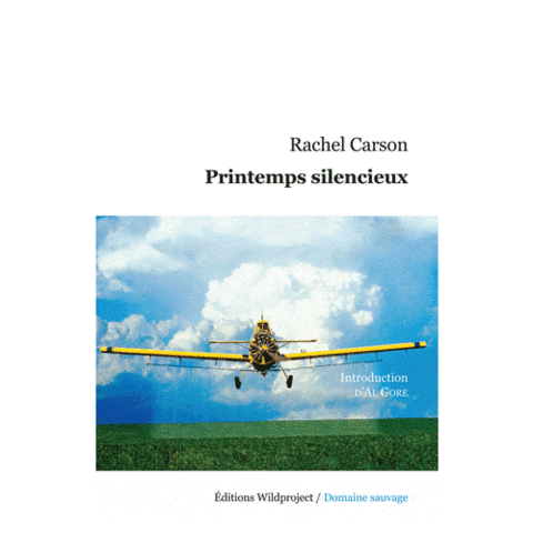 Théorie de la pollution environnementale