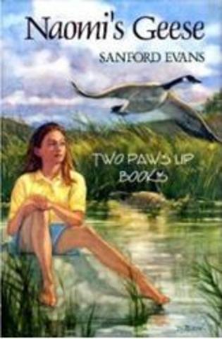 Naomi's Geese by Sanford Evans