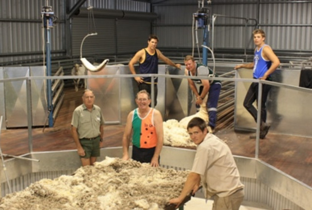 work starts on shear magic