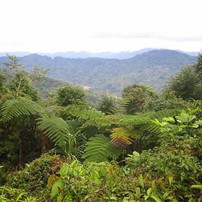 Timeline: The Kokoda Track