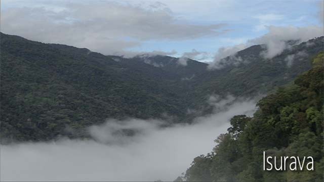 The Battle Of Isurava - Day Six