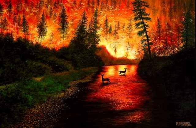 Massive Forest Fire