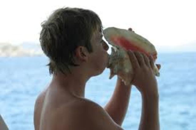 Conch was found