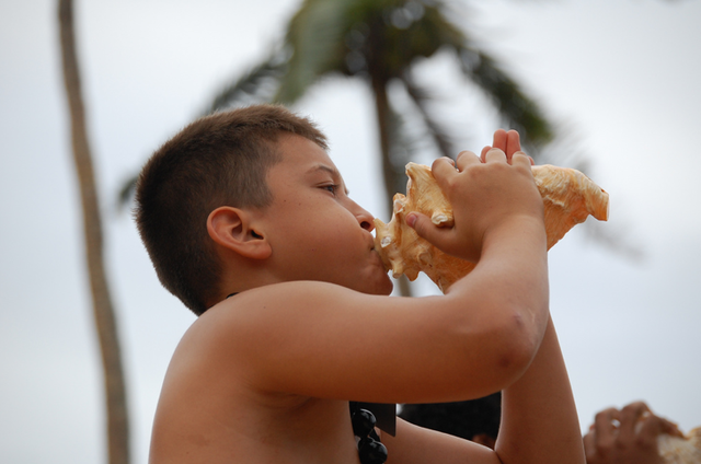 Finding/Using the conch shell. (15)
